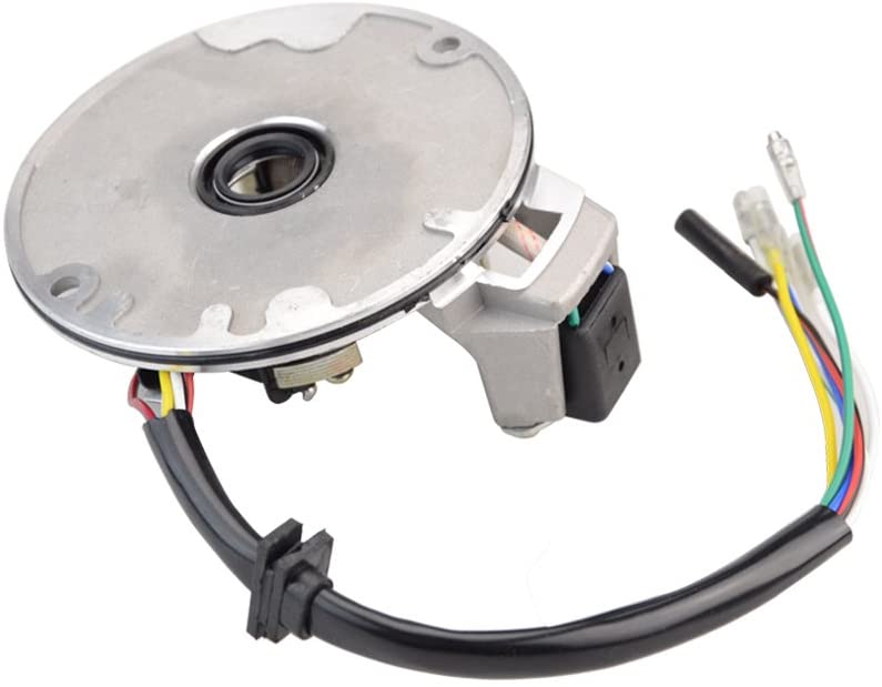 GOOFIT 2 Coil Magneto Stator Replacement for 50cc 70cc 90cc 110cc 125cc Taotao Kazuma SSR Baja Kick Start Dirt Bike ATV
